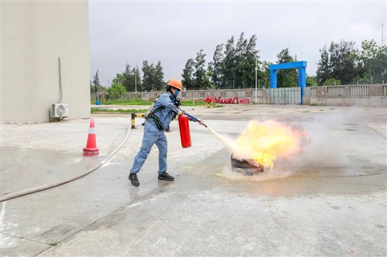 PlayAce直营第一品牌天生赢家一起偕行