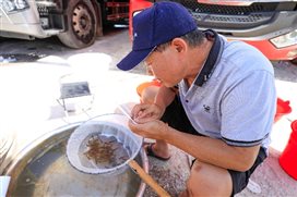 PlayAceֱӪ��һƷ������Ӯ��һ������