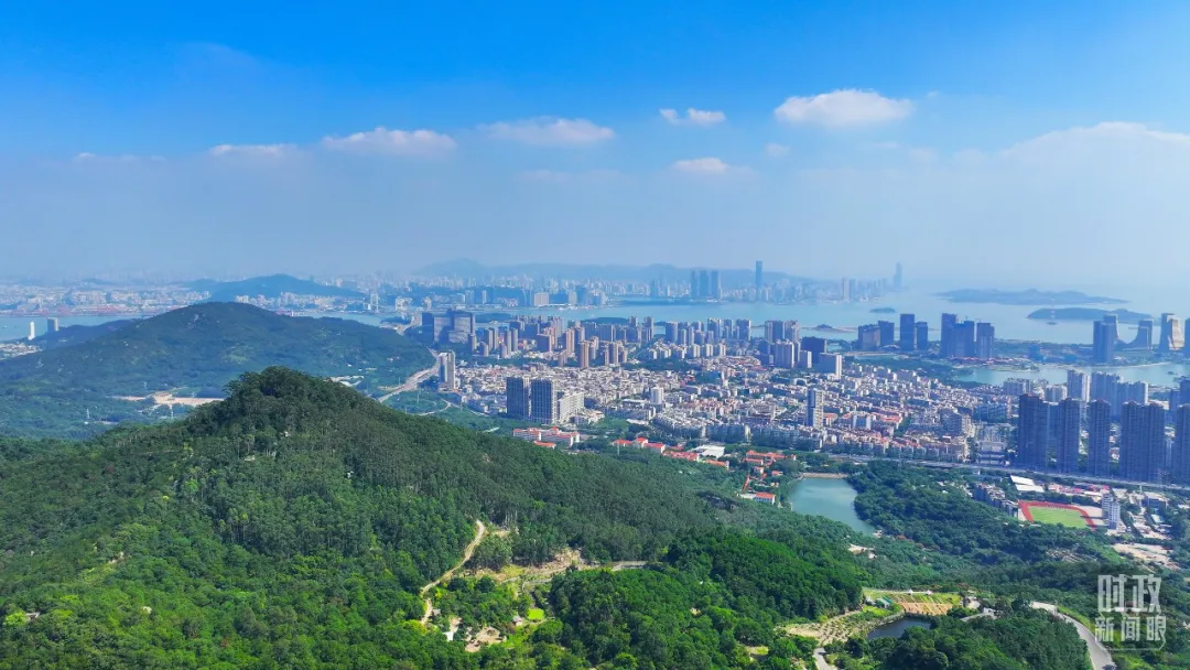 PlayAceֱӪ��һƷ������Ӯ��һ������