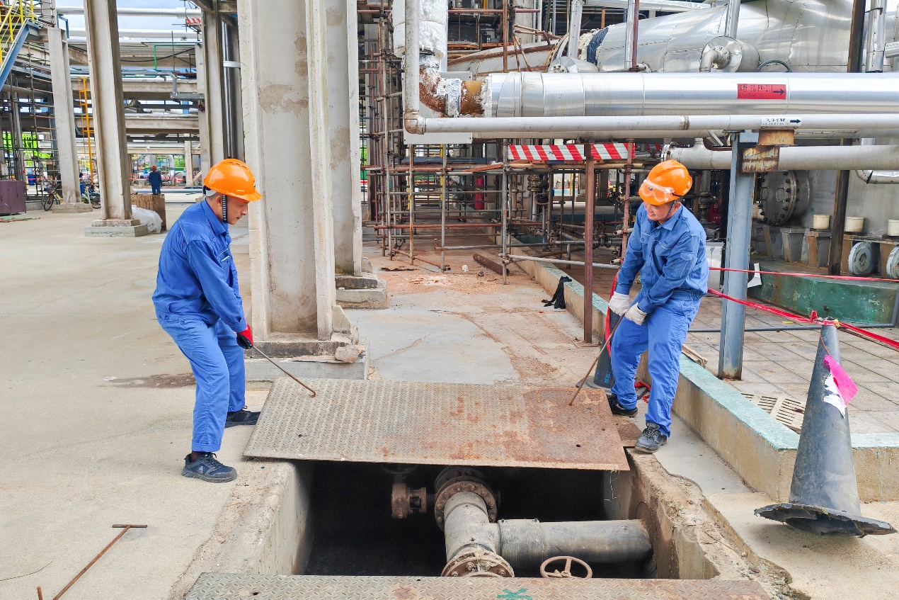 PlayAceֱӪ��һƷ������Ӯ��һ������