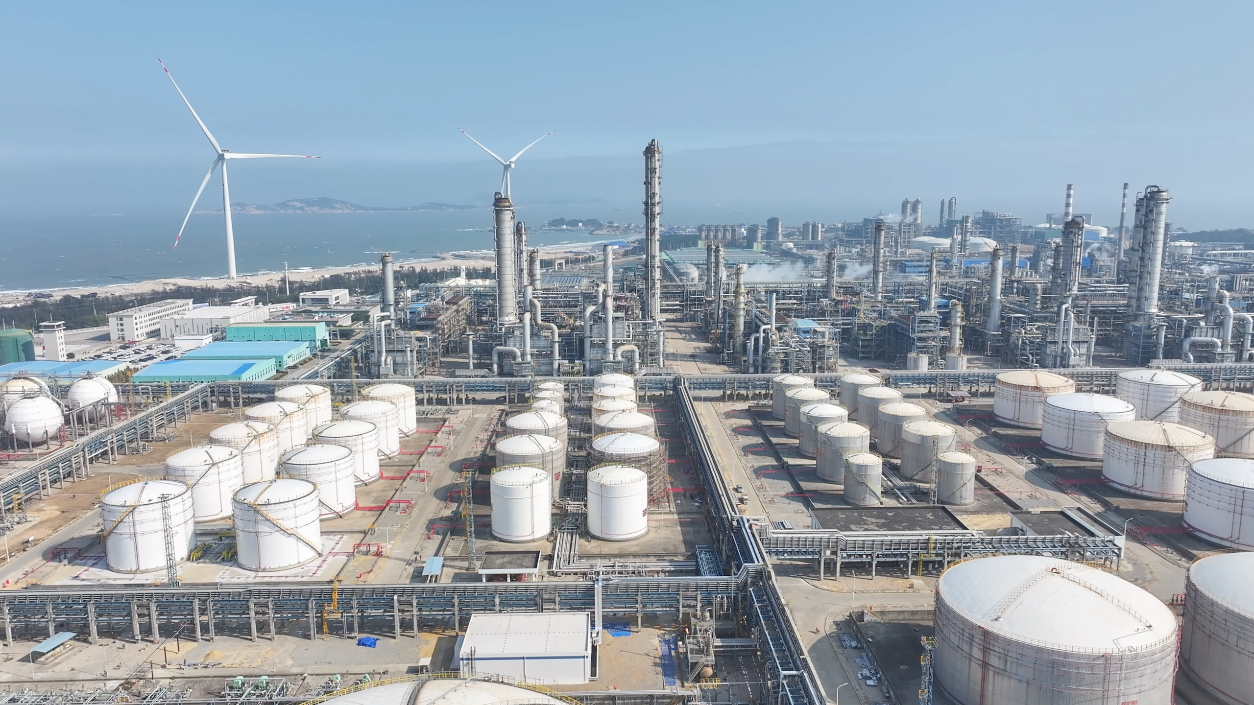 PlayAceֱӪ��һƷ������Ӯ��һ������